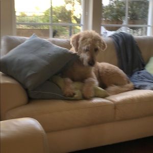 Meet your Posher, Denise